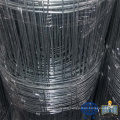 Electro Galvanized Cattle Field Fence Hog Wire Fence